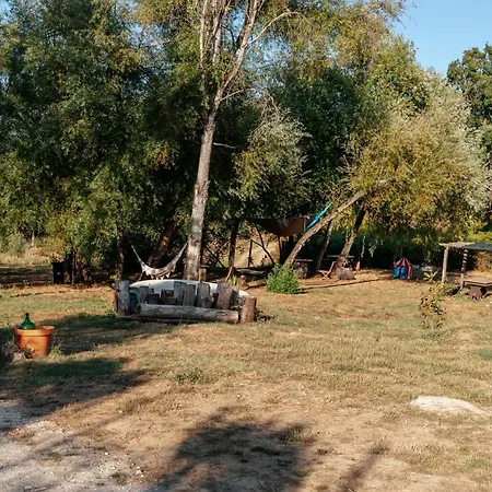 Alma-rio 1 By Mycelia 3* تومار