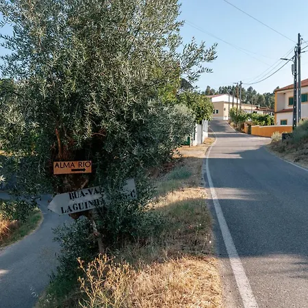 Alma-rio 1 By Mycelia 3*