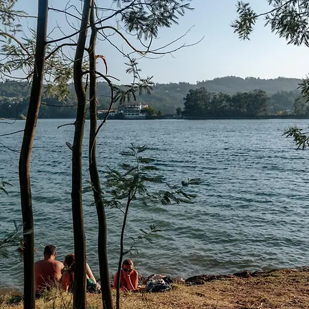 Alma-rio 1 By Mycelia 3* تومار