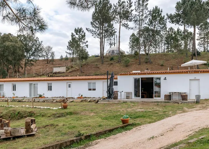 Alma-rio 1 By Mycelia 3*