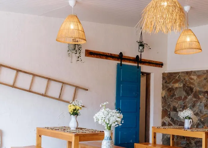 Alma-rio 1 By Mycelia