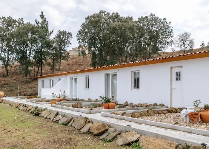 Alma-rio 1 By Mycelia 3* تومار