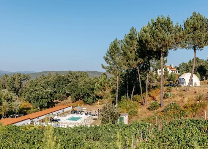 بيت ضيافة Alma-rio 1 By Mycelia 3*