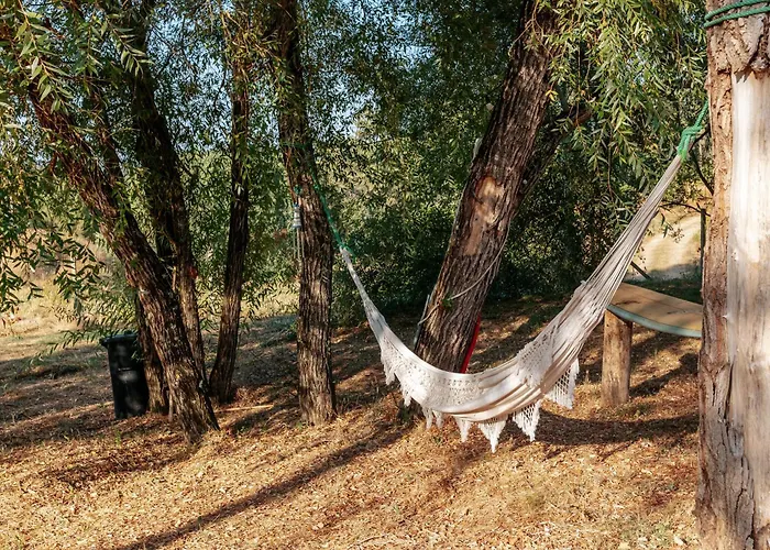 Alma-rio 1 By Mycelia بيت ضيافة تومار