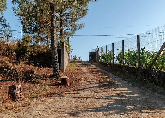 بيت ضيافة Alma-rio 1 By Mycelia تومار