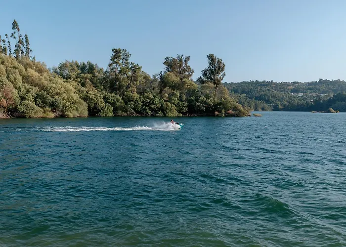 Alma-rio 1 By Mycelia 3*