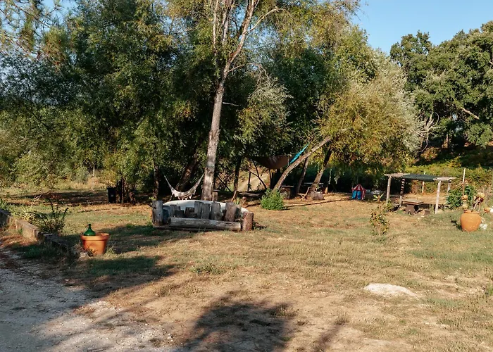 Alma-rio 1 By Mycelia 3* تومار