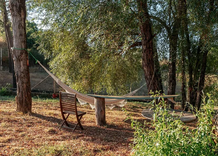 Alma-rio 1 By Mycelia 3*