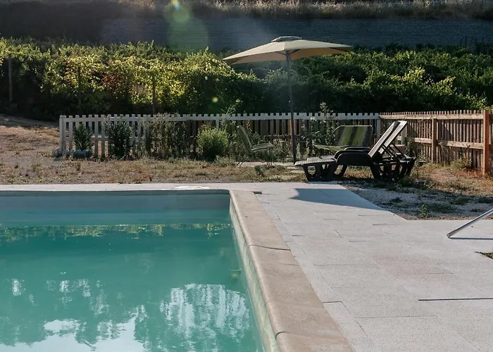 Alma-rio 1 By Mycelia تومار