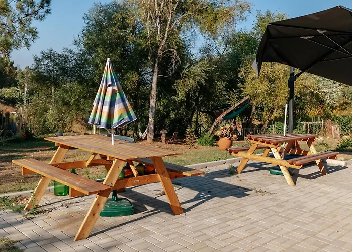 Alma-rio 1 By Mycelia 3* تومار