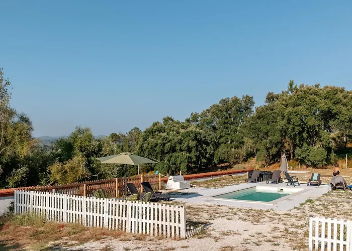 Alma-rio 1 By Mycelia