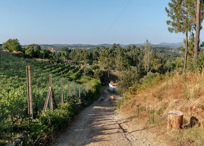 Alma-rio 1 By Mycelia بيت ضيافة تومار