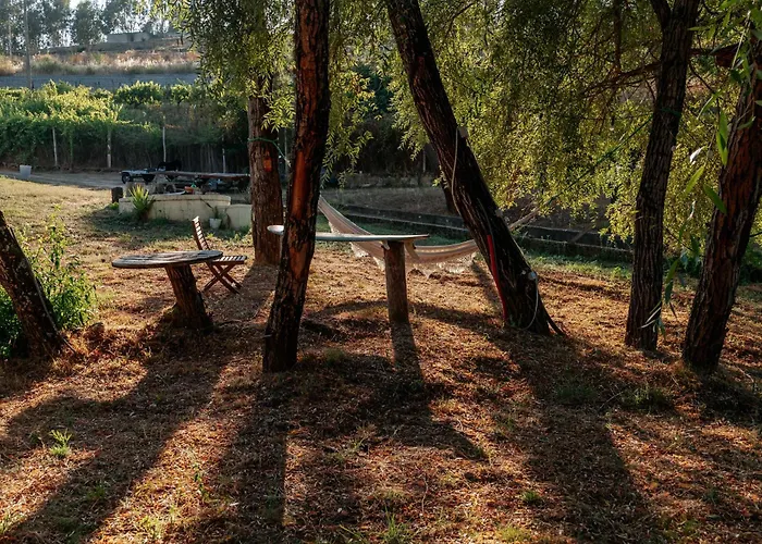 Alma-rio 1 By Mycelia تومار