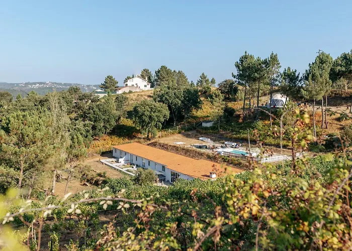 Casa de hóspedes Alma-rio 1 By Mycelia