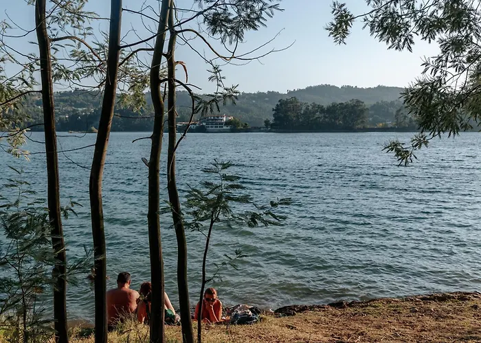 Alma-rio 1 By Mycelia 3* Tomar